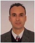 Murat Gül