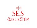 Deniz N.