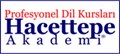 İzmir Hacettepe Akademi Profesyonel Dil Kursları Karşıyaka