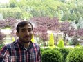 Mustafa A.