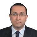 Fatih Arı