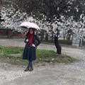 Tuba Y.