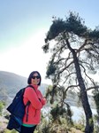 Pınar D.